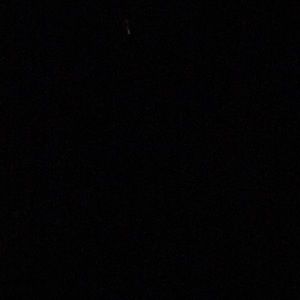 Meet your Posher, Sebastian